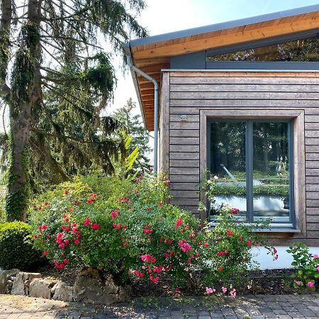 Balthasar Ress Guesthouse Am Rebhang Im Rheingau Oestrich-Winkel Exterior foto