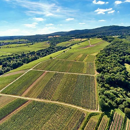 Balthasar Ress Guesthouse Am Rebhang Im Rheingau Oestrich-Winkel Exterior foto