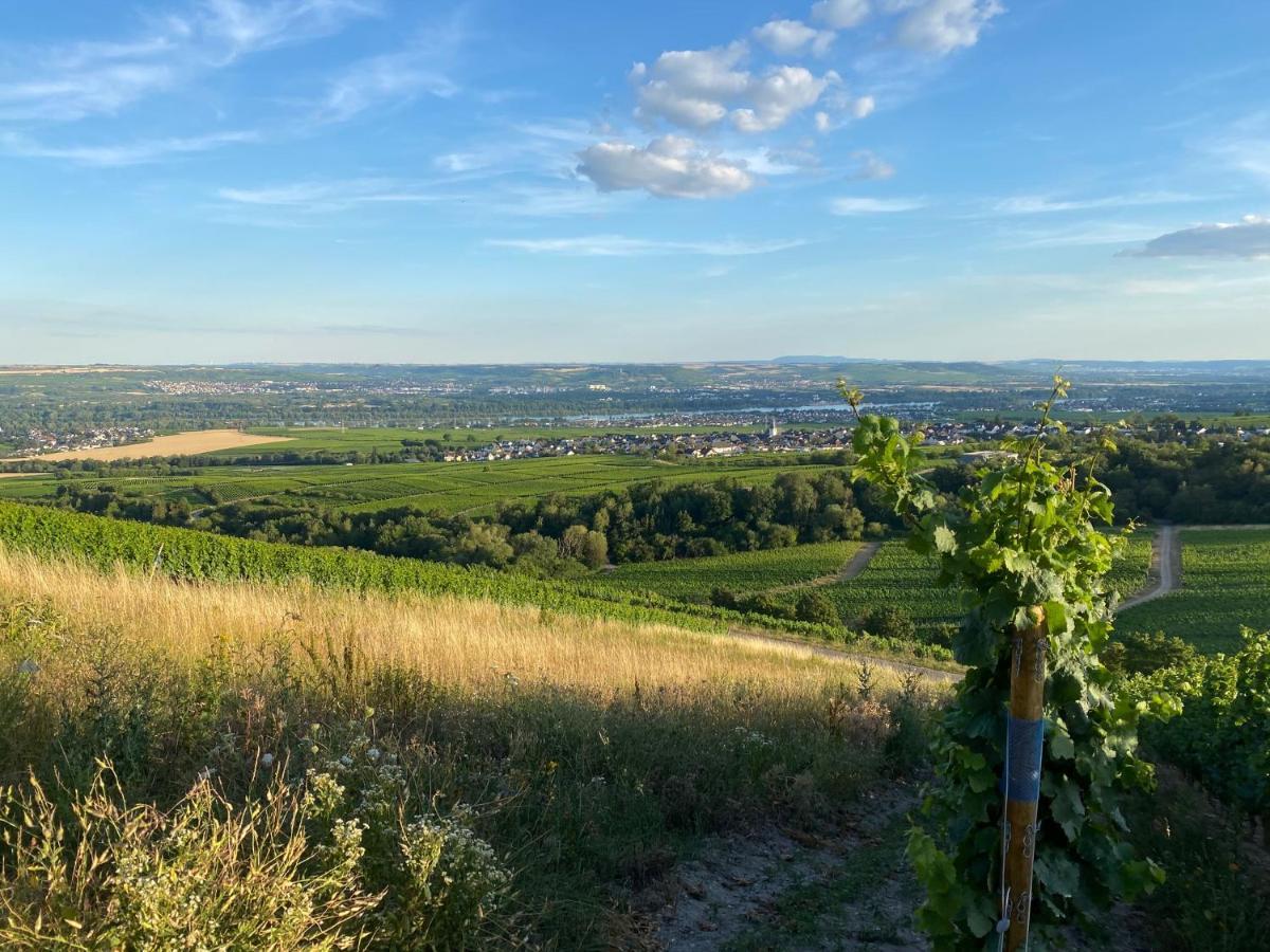 Balthasar Ress Guesthouse Am Rebhang Im Rheingau Oestrich-Winkel Exterior foto
