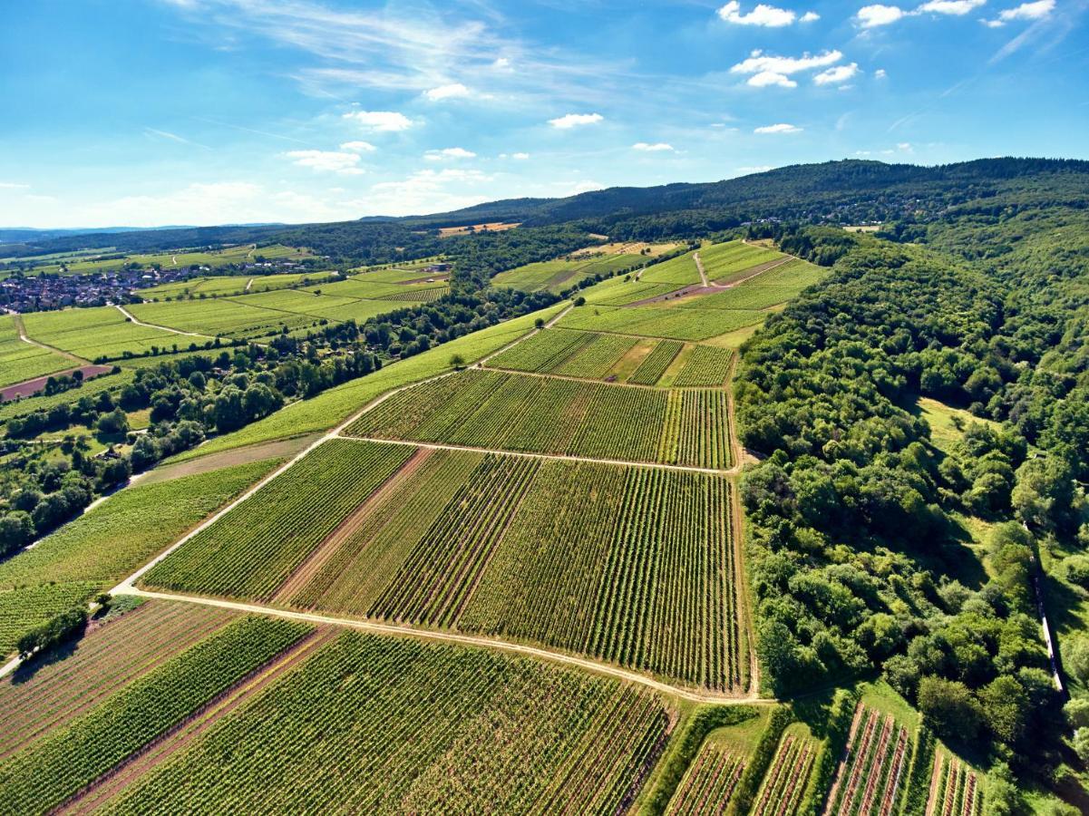 Balthasar Ress Guesthouse Am Rebhang Im Rheingau Oestrich-Winkel Exterior foto